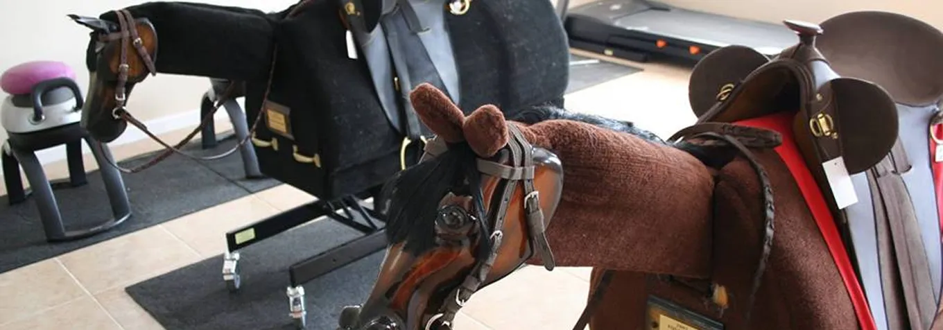 Equicizer mechanical horse for therapeutic riding
